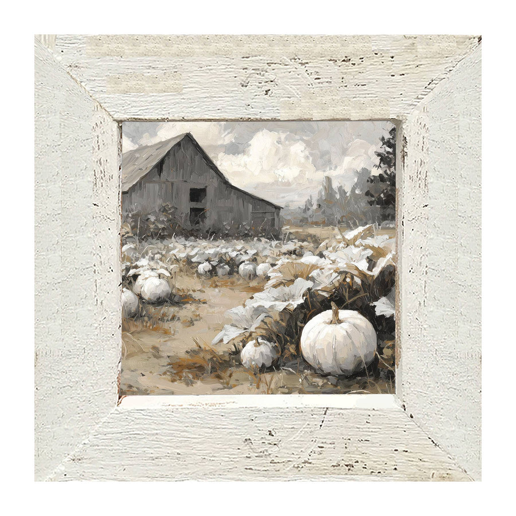 White Pumpkins in Field