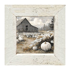 White Pumpkins in Field