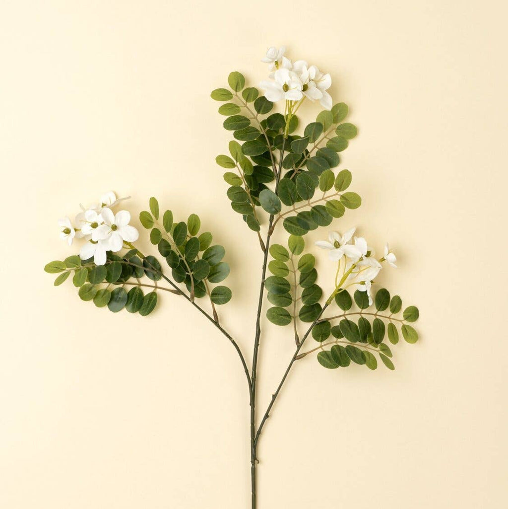 Locust Flower Branch