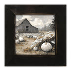 White Pumpkins in Field