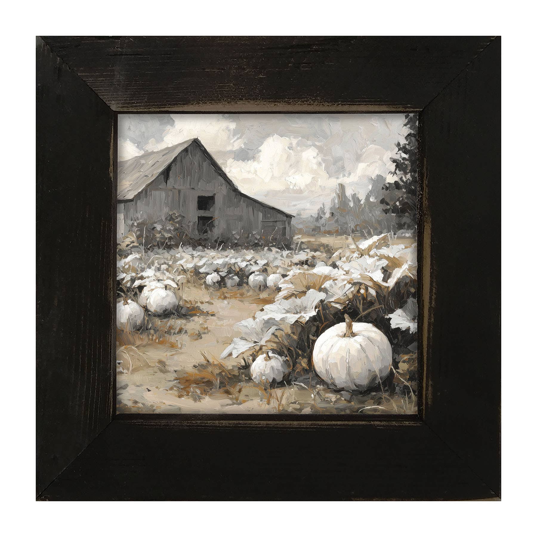 White Pumpkins in Field