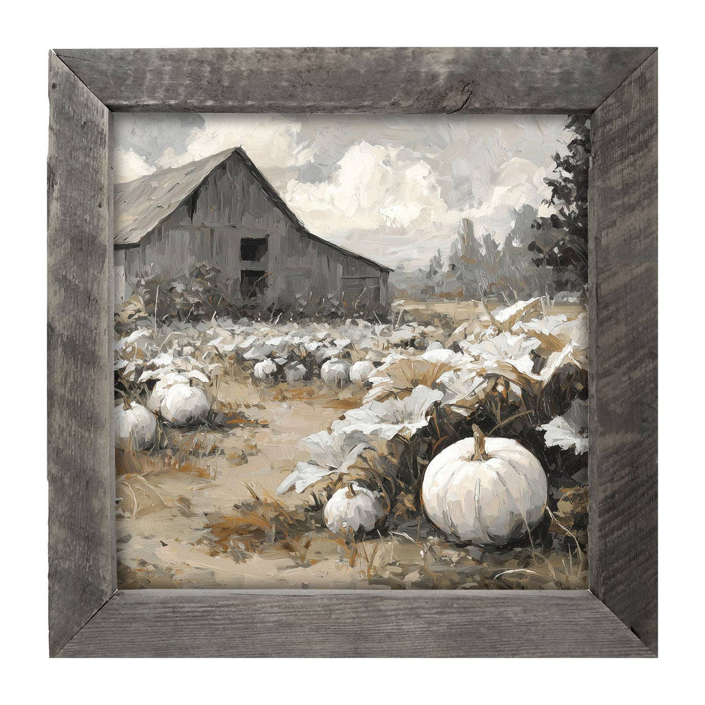White Pumpkins in Field