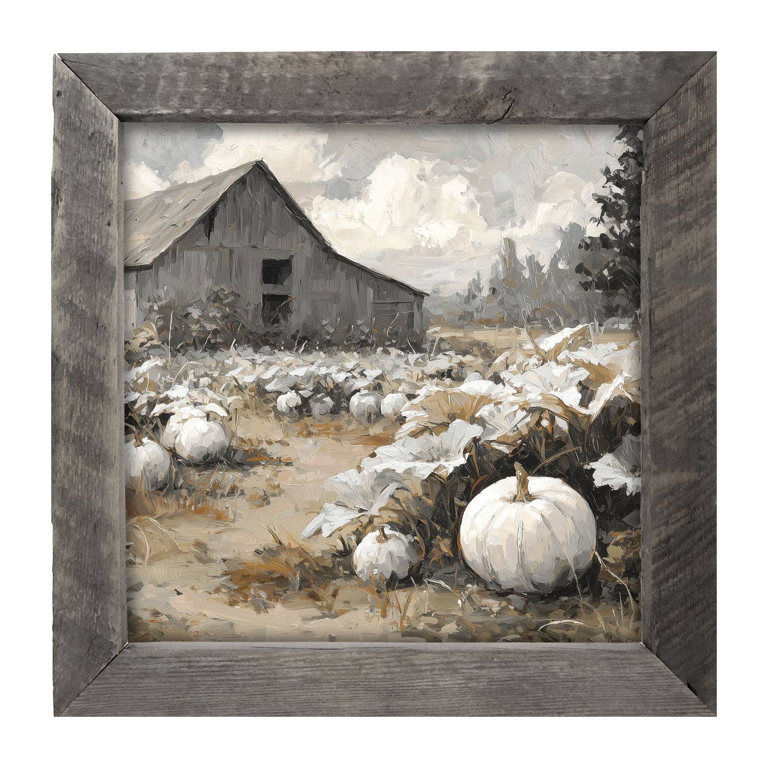 White Pumpkins in Field