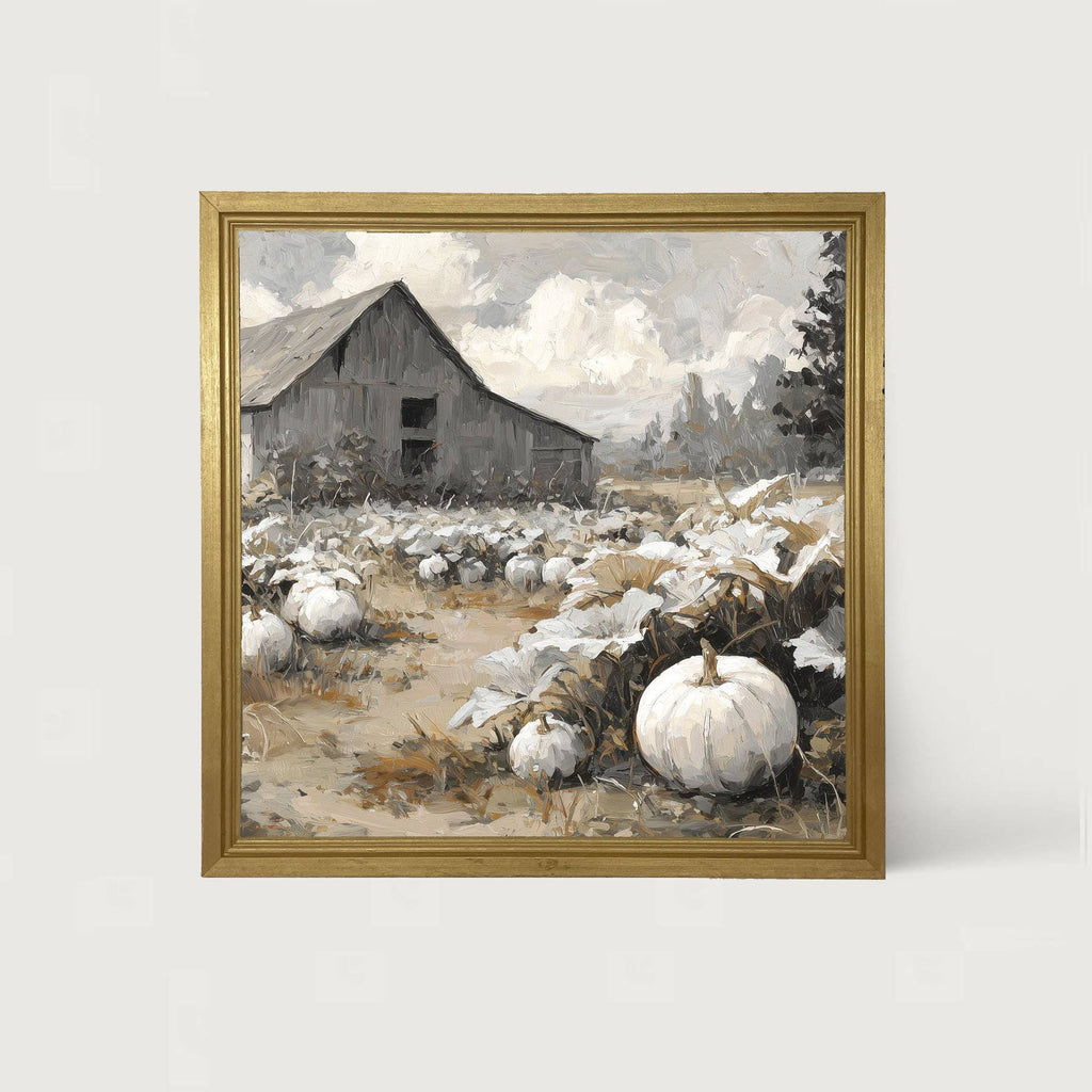 White Pumpkins in Field