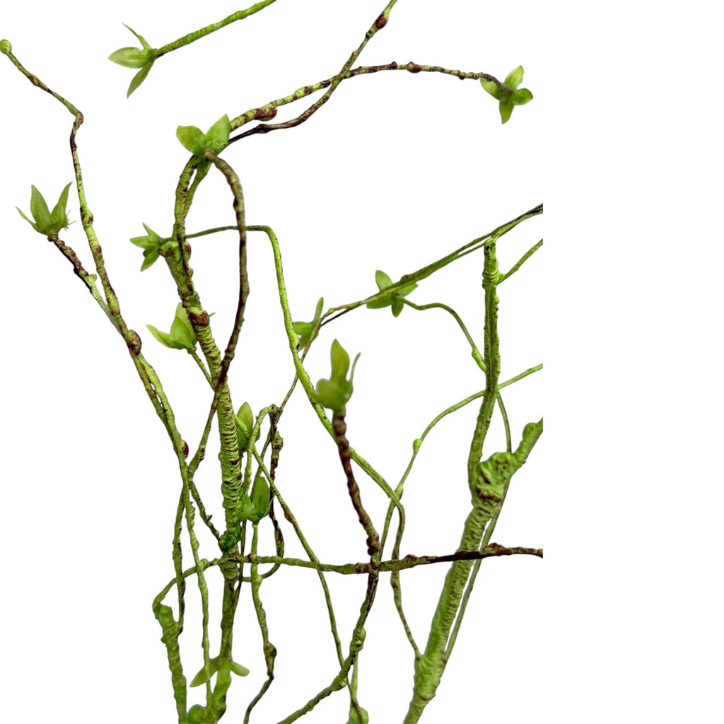 55"Curvy Sculptural Branch Stem