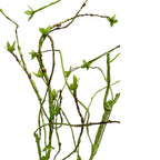 55"Curvy Sculptural Branch Stem