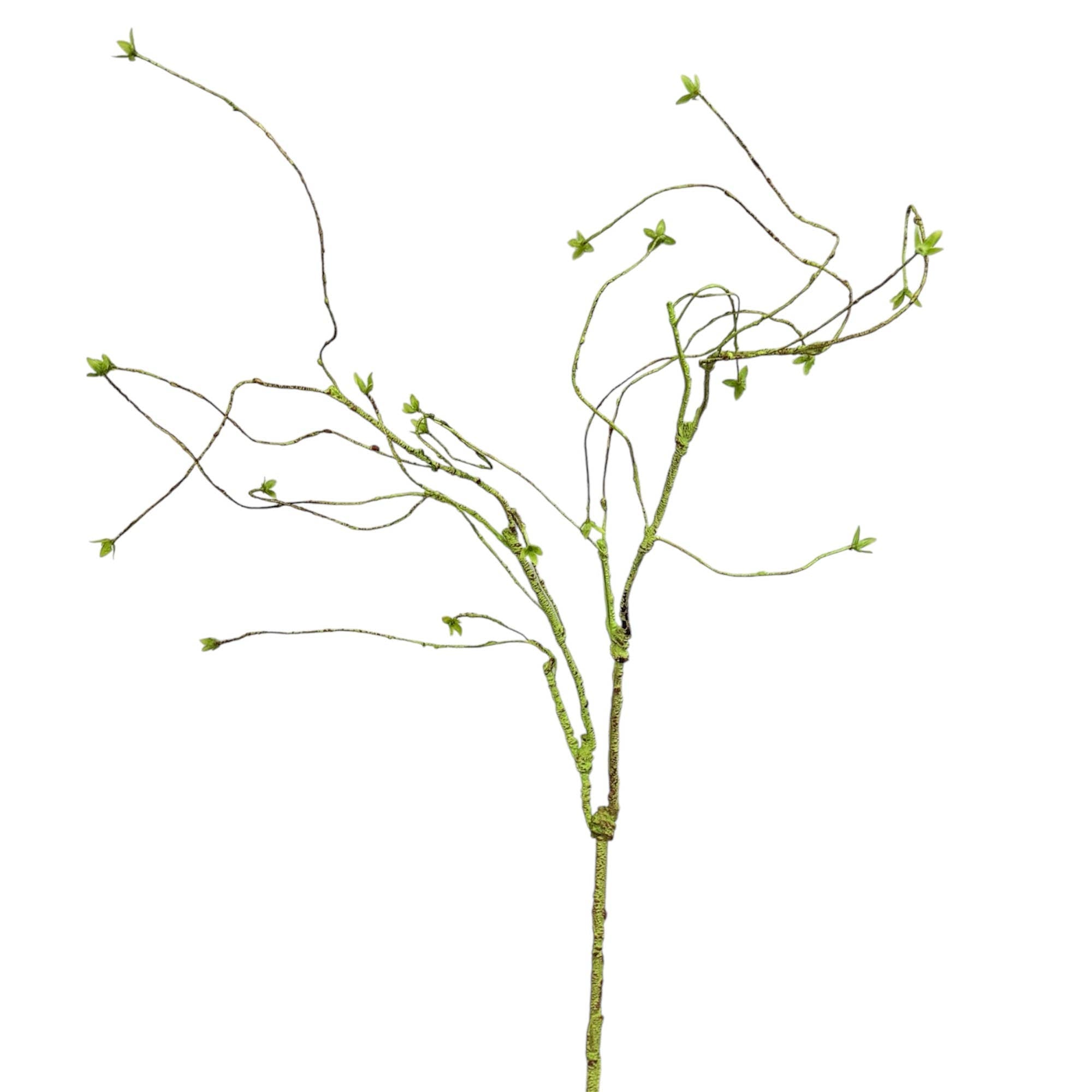 55"Curvy Sculptural Branch Stem