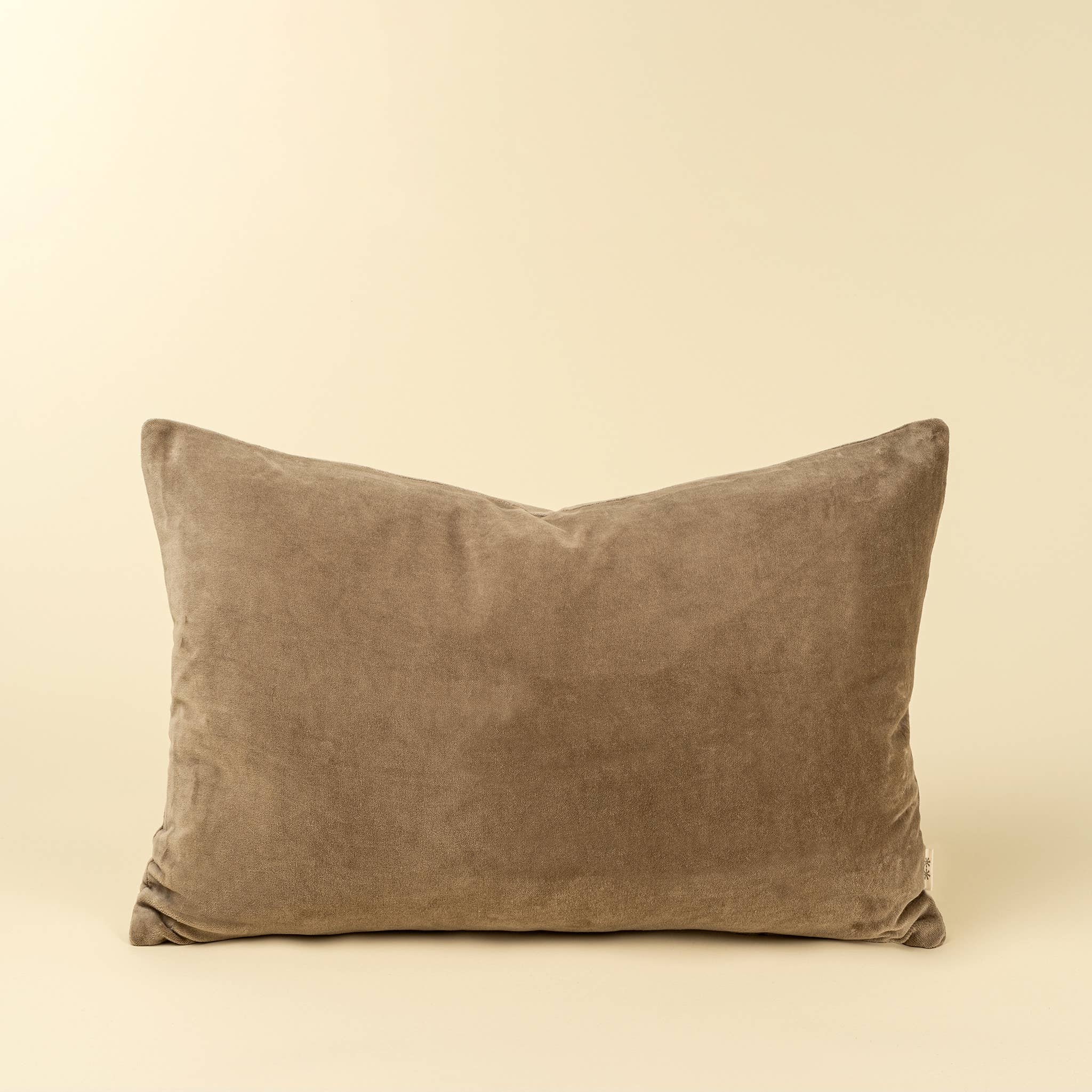 16x24 Vera Luxe Velvet Pillow, Birch