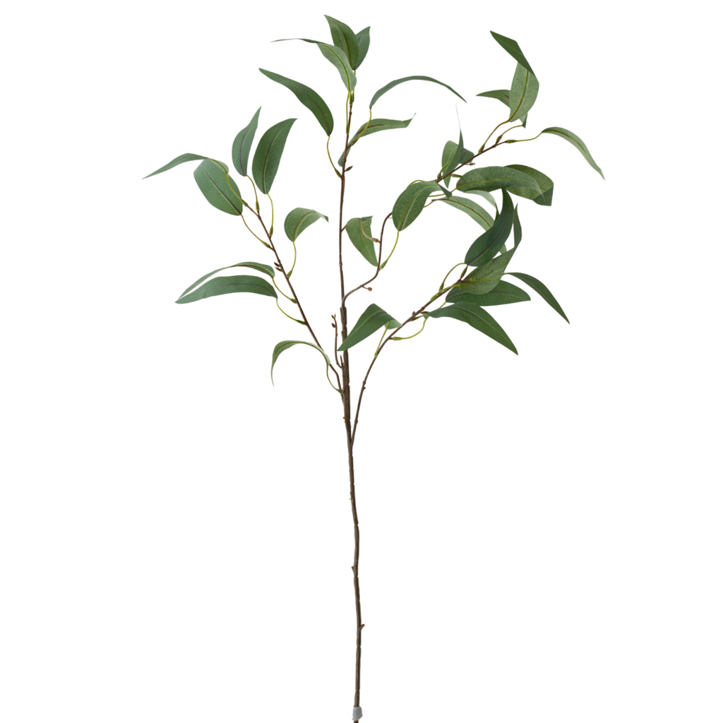 GR Eucalyptus 35"