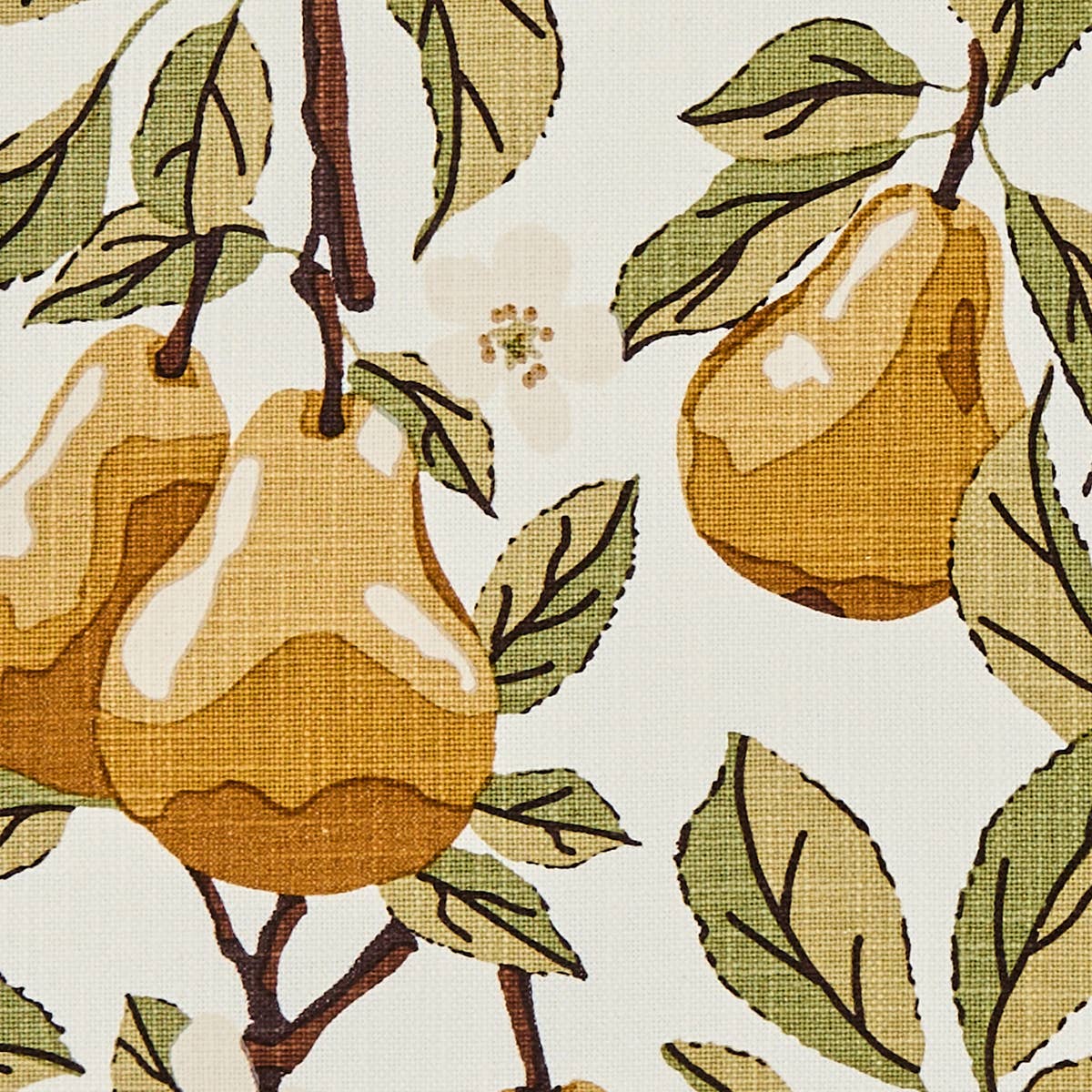 Golden Pear Placemat