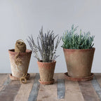 8.5" Cement Planter with Saucer – Distressed Terra-Cotta Finish