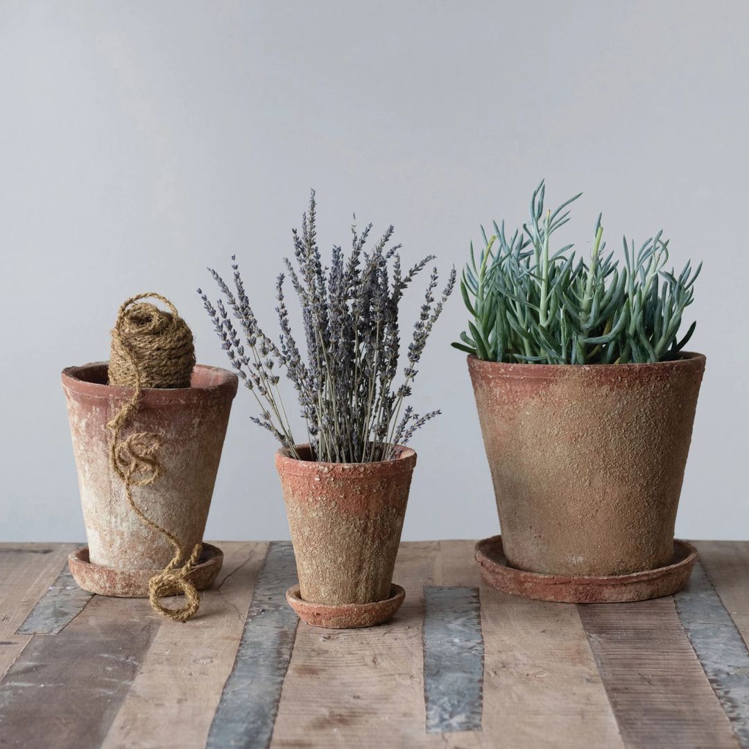 8.5" Cement Planter with Saucer – Distressed Terra-Cotta Finish