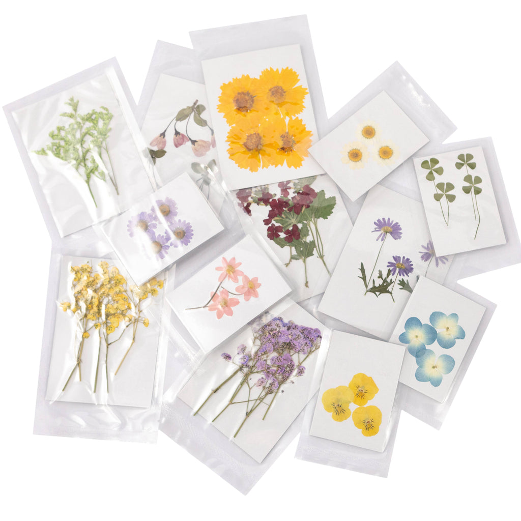 Pressed Botanical Collection - Assorted