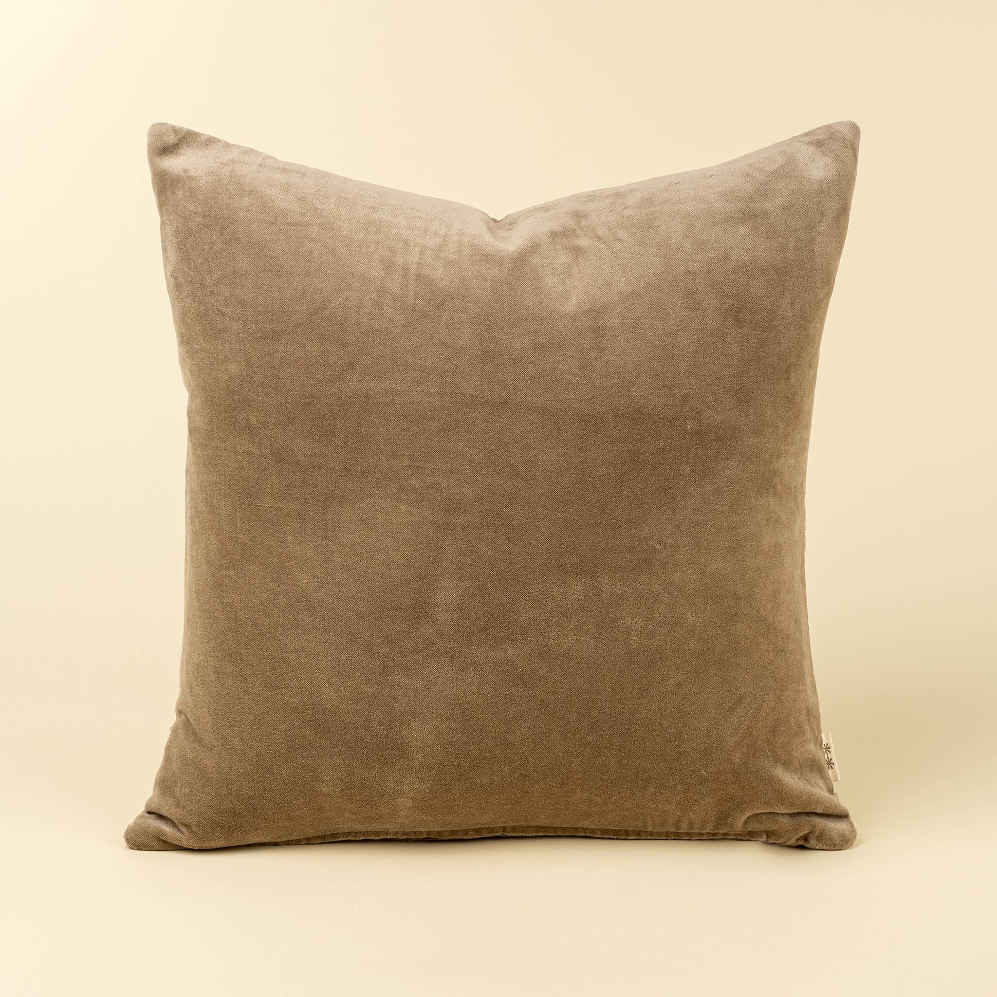 20x20 Vera Luxe Velvet Pillow, Birch