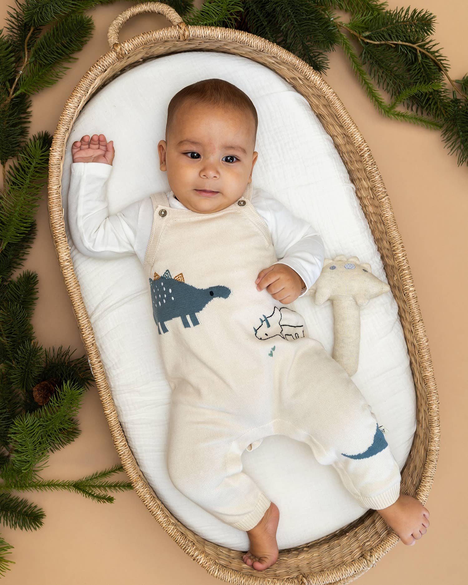 Dino Jacquard Sweater Knit Baby Overall