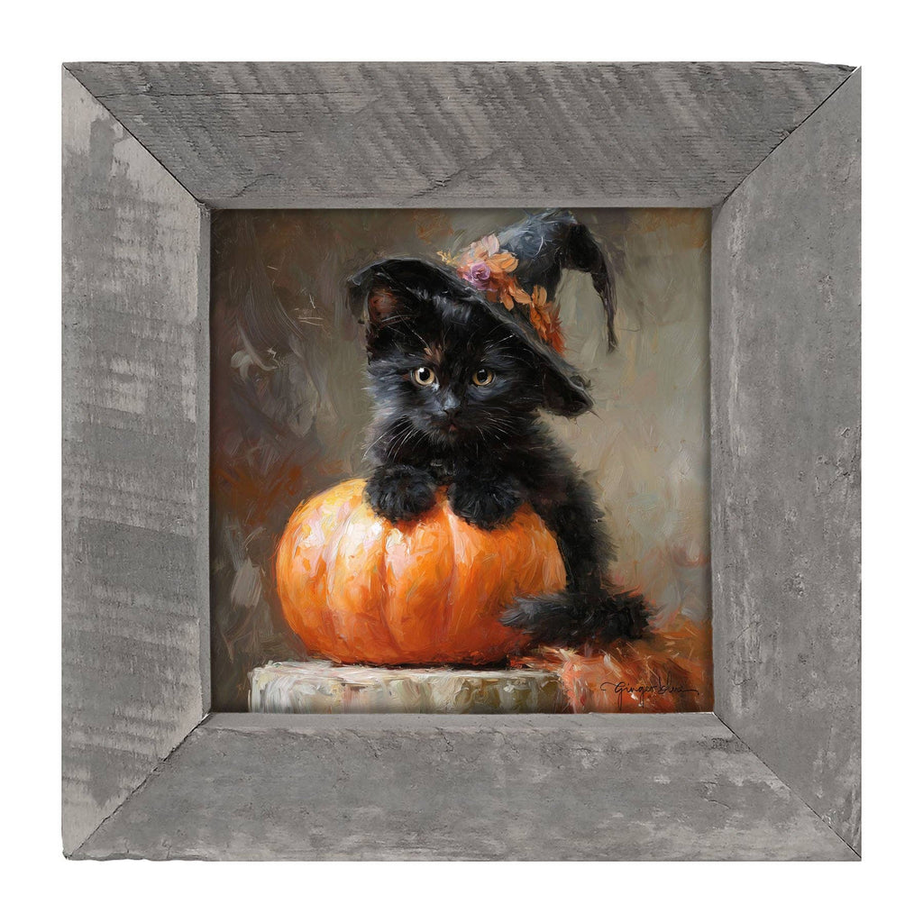 Black Kitten with Pumpkin