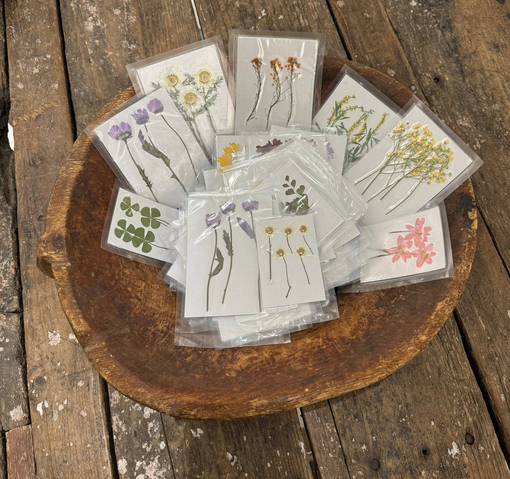 Pressed Botanical Collection - Assorted