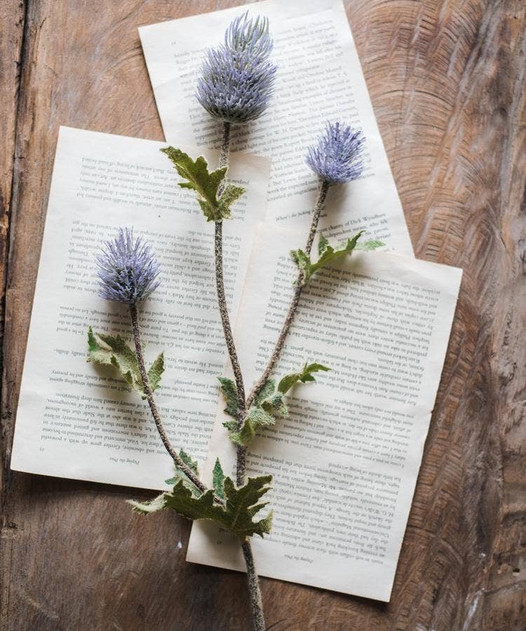 Thistle Stem 26"