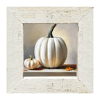 White pumpkin still life