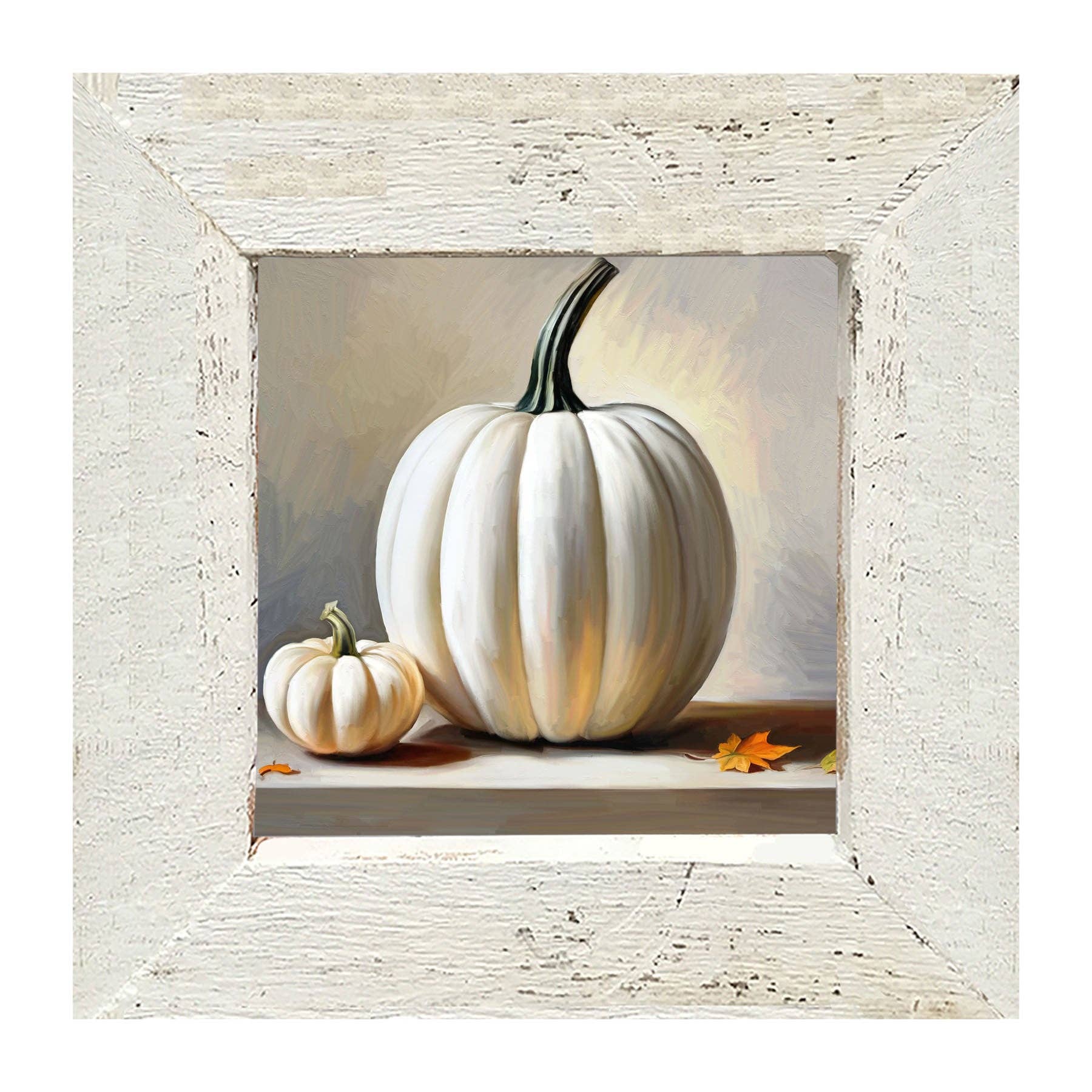 White pumpkin still life
