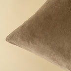 20x20 Vera Luxe Velvet Pillow, Birch
