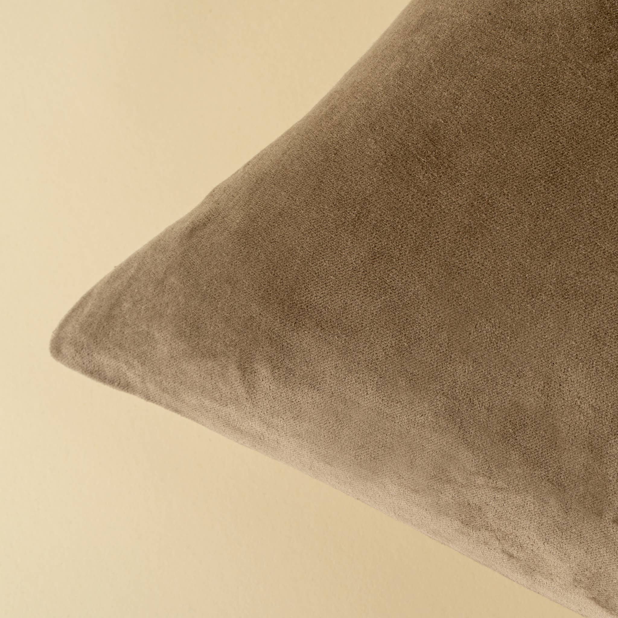 20x20 Vera Luxe Velvet Pillow, Birch