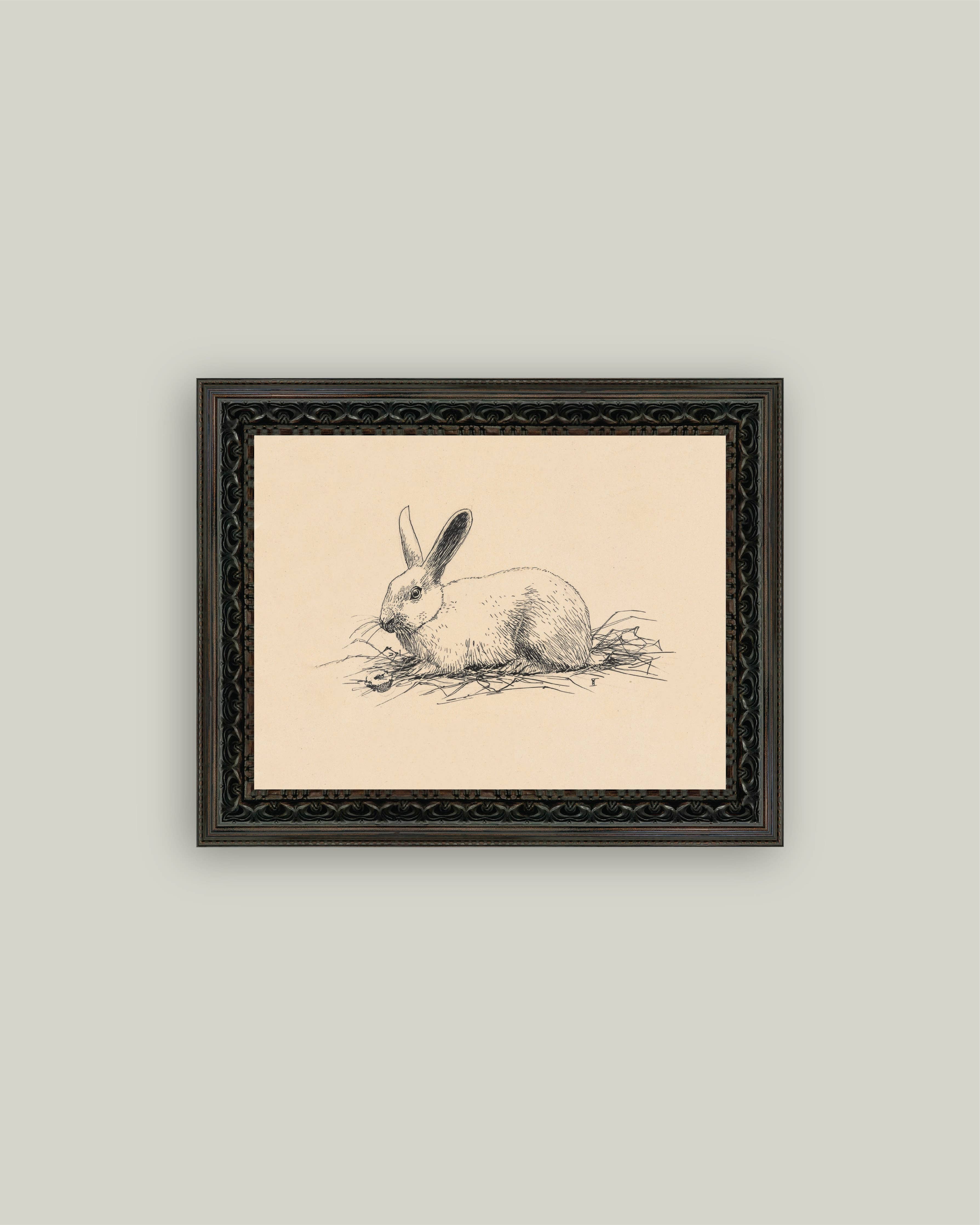 Bunny Sketch 7x5