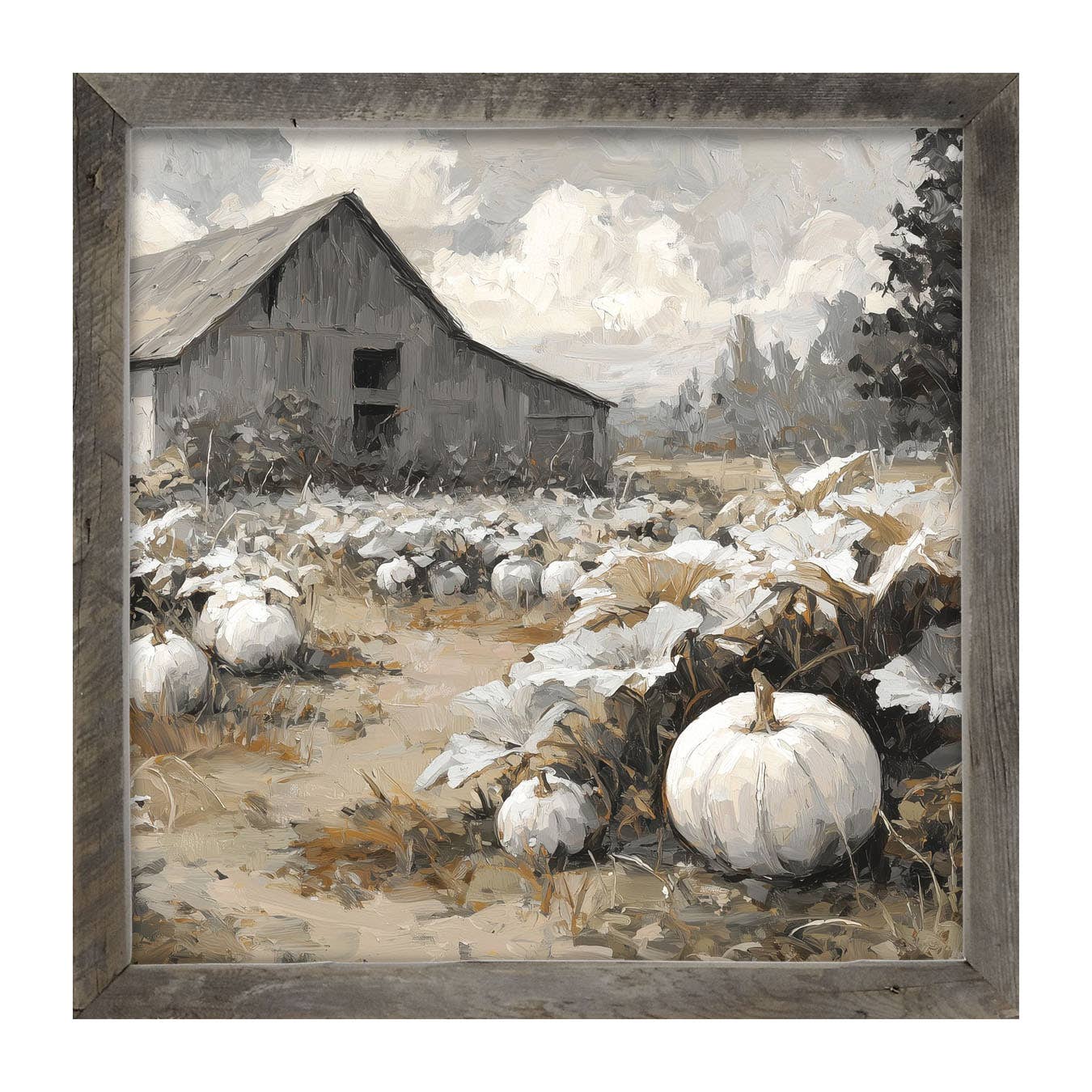 White Pumpkins in Field