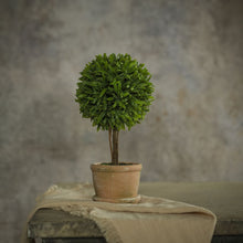 9" Grassy Topiary Tree - Faux Plant Decor