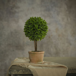 9" Grassy Topiary Tree - Faux Plant Decor