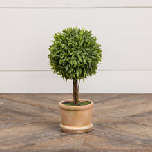 9" Grassy Topiary Tree - Faux Plant Decor