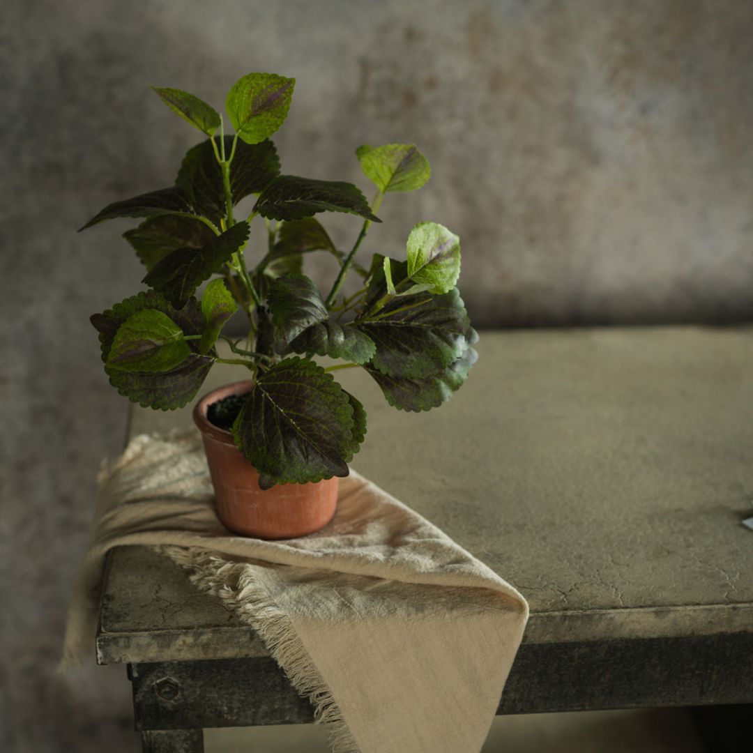 9" Potted Perilla - Faux Plant Decor