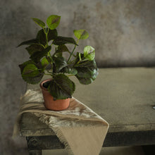 9" Potted Perilla - Faux Plant Decor