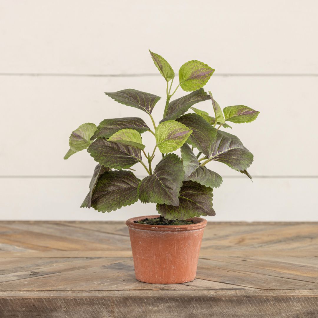 9" Potted Perilla - Faux Plant Decor