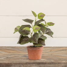 9" Potted Perilla - Faux Plant Decor