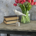 9" Resting Bird on Stand Decor