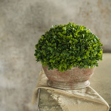 9.5" Botanical In Oblong Pot
