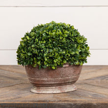 9.5" Botanical In Oblong Pot