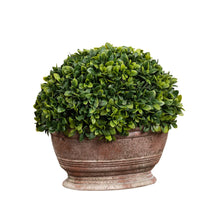 9.5" Botanical In Oblong Pot