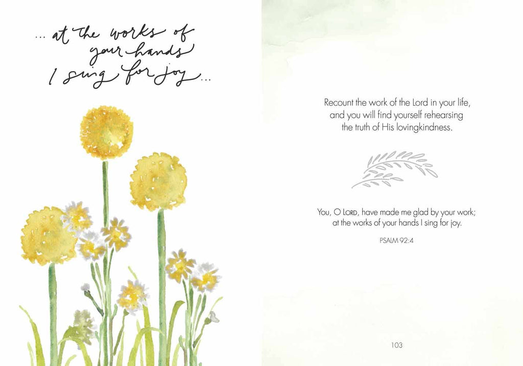 Fields of Joy