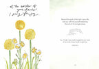 Fields of Joy