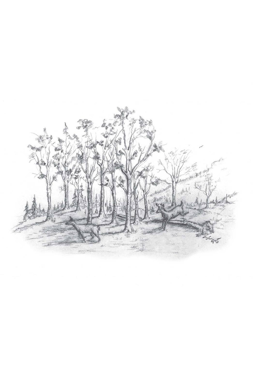 A Look at Life from a Deer Stand