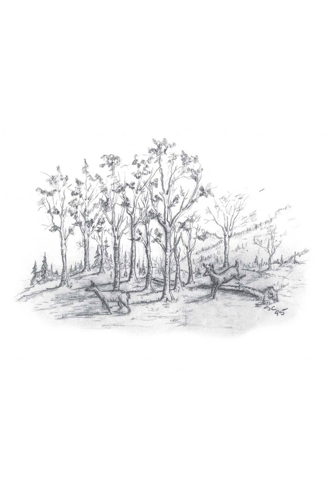 A Look at Life from a Deer Stand