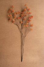 Rust Rice Flower Stem