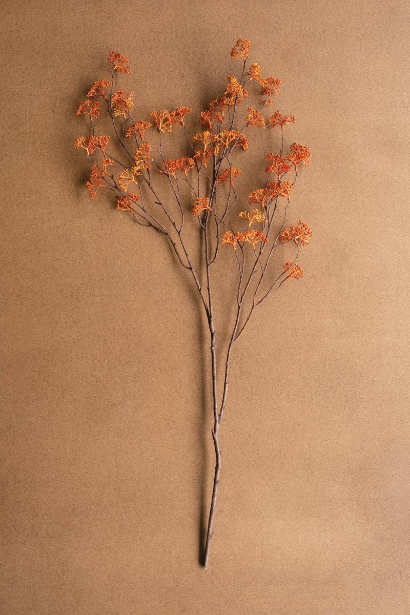 Rust Rice Flower Stem