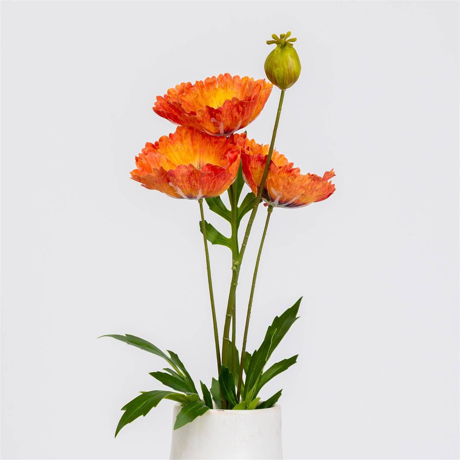 Poppy Dark Orange Stem