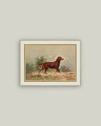 Standing Retriever Framed Antique Art