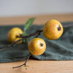 Yellow Apple Pear Stem 27"