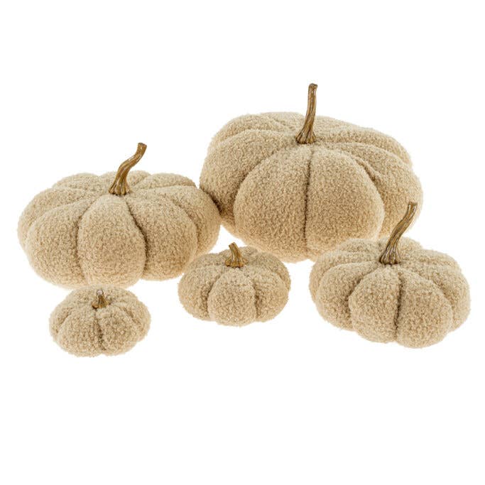 Boucle Pumpkin XS