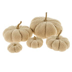 Boucle Pumpkin XS